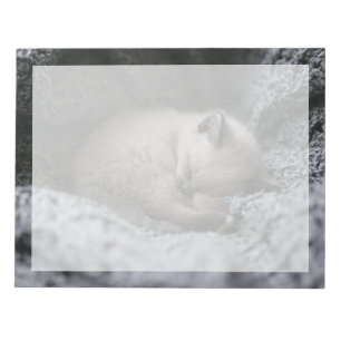 Cutest Baby Animals Tiny Kitten Sleeping Notepad