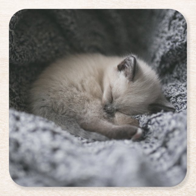 Cutest Baby Animals | Tiny Kitten Sleeping Square Paper Coaster (Front)