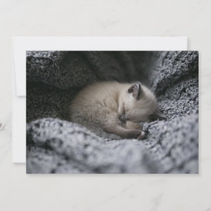 Cutest Baby Animals   Tiny Kitten Sleeping Thank You Card