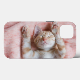 Cutest Baby Animals   Tiny Orange Striped Kitten iPhone 13 Case