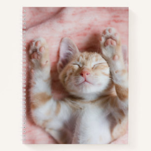 Cutest Baby Animals Tiny Orange Striped Kitten Notebook