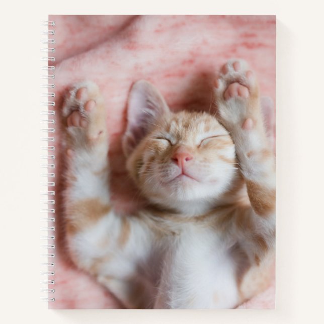 Cutest Baby Animals | Tiny Orange Striped Kitten Notebook (Front)