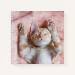Cutest Baby Animals Tiny Orange Striped Kitten Notebook