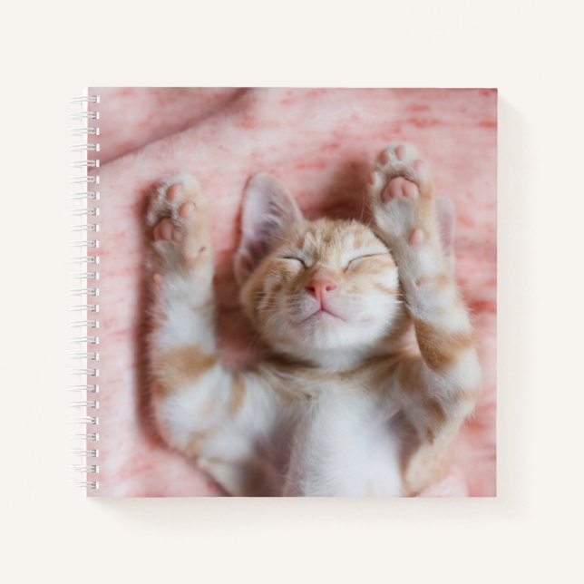 Cutest Baby Animals | Tiny Orange Striped Kitten Notebook (Front)