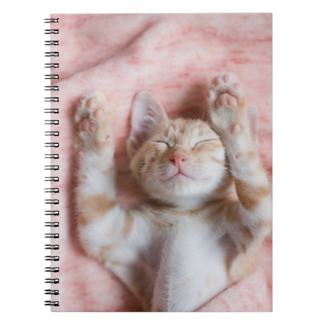 Cutest Baby Animals | Tiny Orange Striped Kitten Notebook (Front)