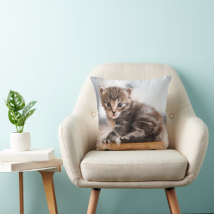 Cutest Baby Animals Tiny Tabby Kitten Cushion