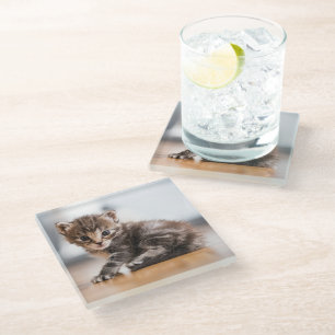 Cutest Baby Animals Tiny Tabby Kitten Glass Coaster