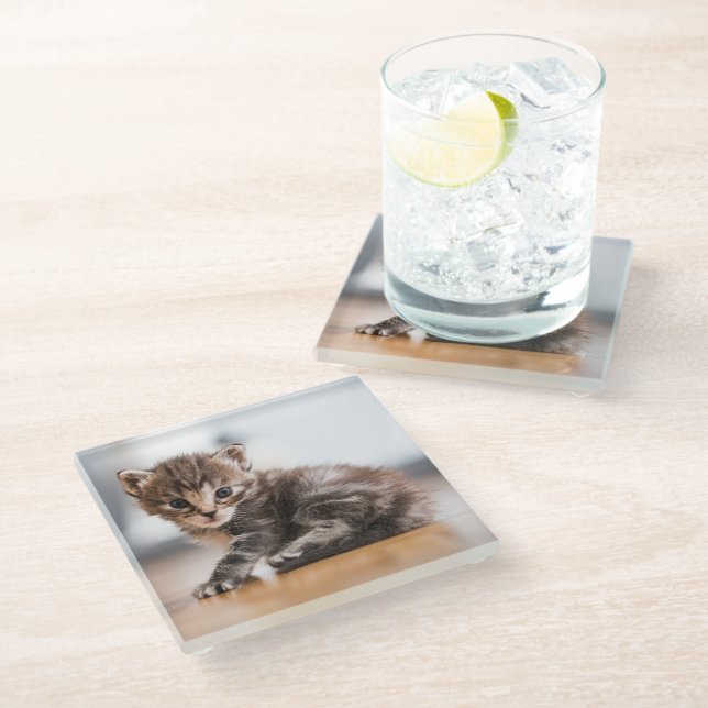 Cutest Baby Animals | Tiny Tabby Kitten Glass Coaster (Angled)