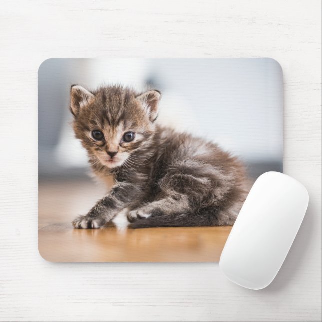 Cutest Baby Animals | Tiny Tabby Kitten Mouse Pad (With Mouse)
