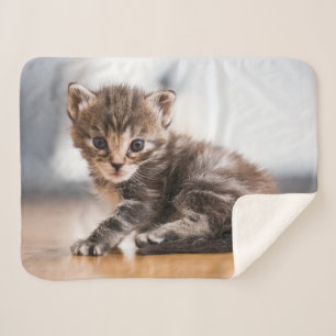 Cutest Baby Animals Tiny Tabby Kitten Sherpa Blanket