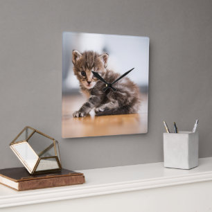 Cutest Baby Animals   Tiny Tabby Kitten Square Wall Clock