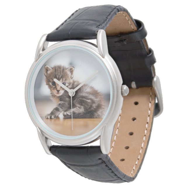 Cutest Baby Animals | Tiny Tabby Kitten Watch (Angled)