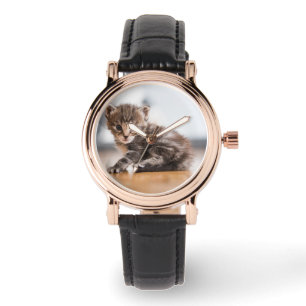 Cutest Baby Animals   Tiny Tabby Kitten Watch