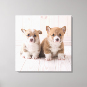 Cutest Baby Animals Two Baby Corgis Sitting Canvas Print