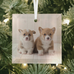 Cutest Baby Animals Two Baby Corgis Sitting Glass Tree Decoration
