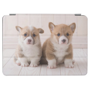 Cutest Baby Animals   Two Baby Corgis Sitting iPad Air Cover