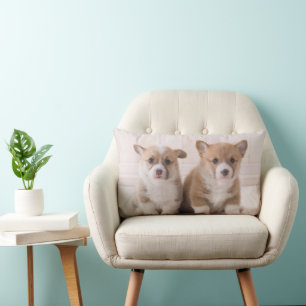Cutest Baby Animals   Two Baby Corgis Sitting Lumbar Cushion