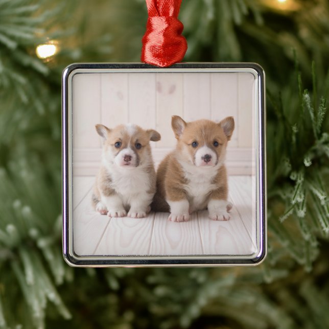 Cutest Baby Animals | Two Baby Corgis Sitting Metal Ornament (Tree)