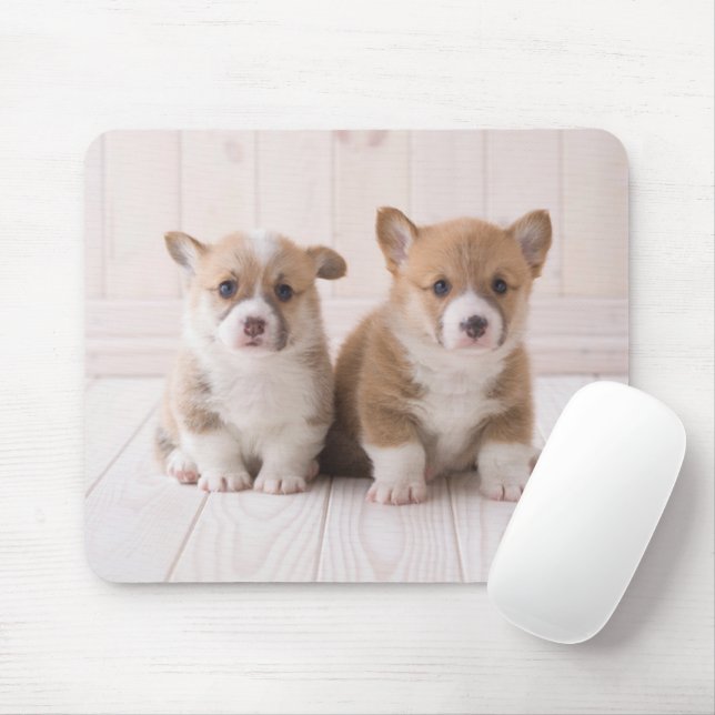 Cutest Baby Animals | Two Baby Corgis Sitting Mouse Pad (With Mouse)