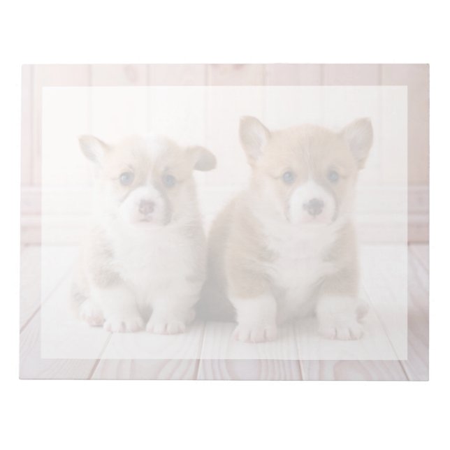 Cutest Baby Animals | Two Baby Corgis Sitting Notepad (Front)