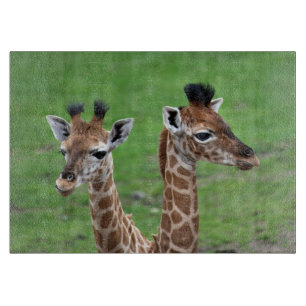 Cutest Baby Animals   Two Baby Giraffes Cutting Board