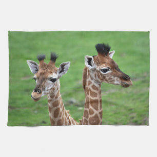Cutest Baby Animals   Two Baby Giraffes Tea Towel