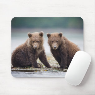 Cutest Baby Animals Two Bear Cubs Mouse Pad