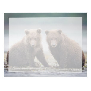 Cutest Baby Animals   Two Bear Cubs Notepad