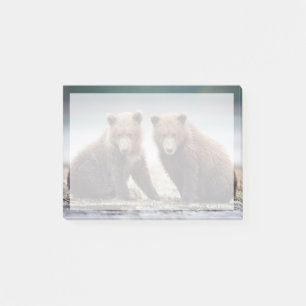 Cutest Baby Animals Two Bear Cubs Post-it Notes