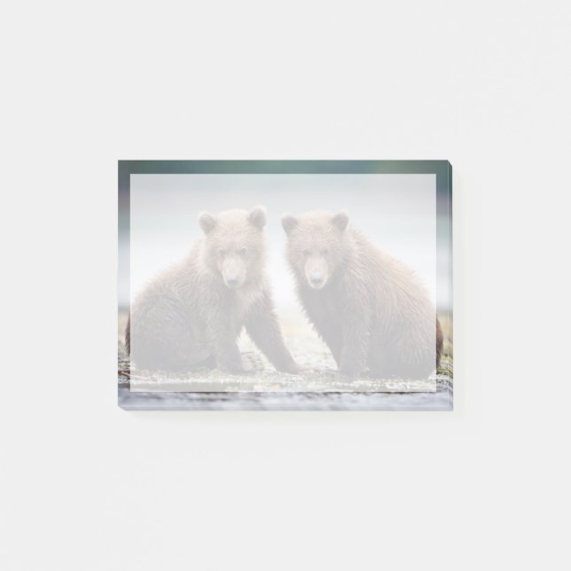 Cutest Baby Animals | Two Bear Cubs Post-it Notes (Front)