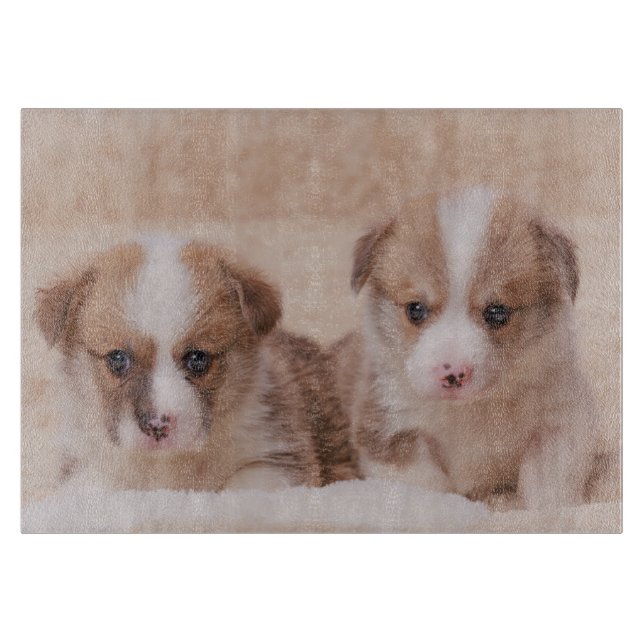 Cutest Baby Animals | Two Corgi Puppies Cutting Board (Front)