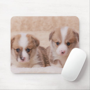 Cutest Baby Animals Two Corgi Puppies Mouse Pad