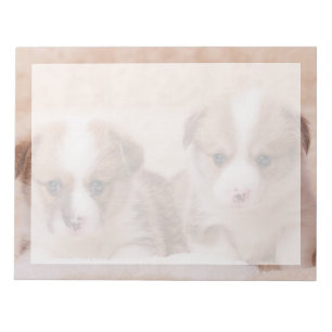 Cutest Baby Animals Two Corgi Puppies Notepad