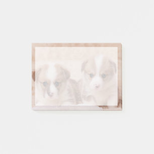 Cutest Baby Animals Two Corgi Puppies Post-it Notes