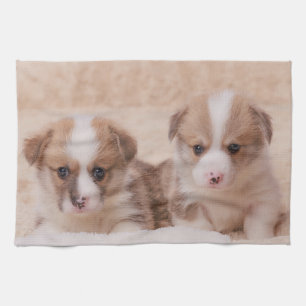 Cutest Baby Animals   Two Corgi Puppies Tea Towel