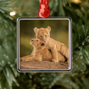 Cutest Baby Animals   Two Lion Cubs Metal Ornament
