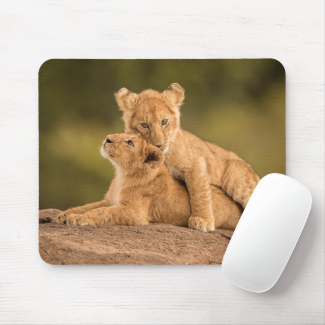 Cutest Baby Animals | Two Lion Cubs Mouse Pad (With Mouse)