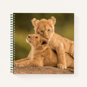 Cutest Baby Animals   Two Lion Cubs Notebook