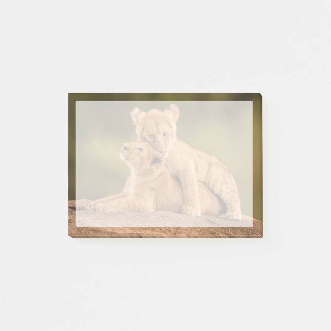 Cutest Baby Animals | Two Lion Cubs Post-it Notes (Front)