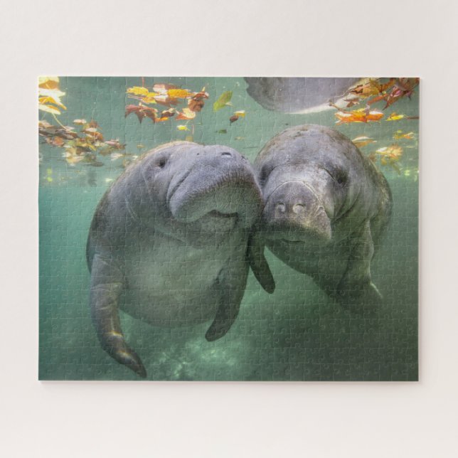 Cutest Baby Animals | Two Manatees Jigsaw Puzzle (Horizontal)