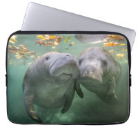 Cutest Baby Animals | Two Manatees