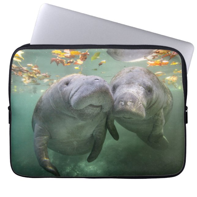 Cutest Baby Animals | Two Manatees Laptop Sleeve (Front)