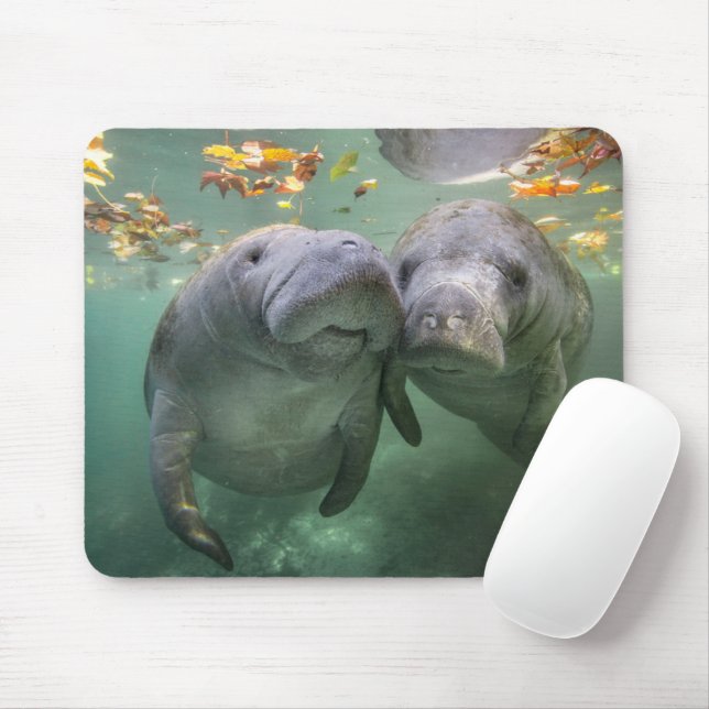 Cutest Baby Animals | Two Manatees Mouse Pad (With Mouse)