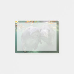 Cutest Baby Animals Two Manatees Post-it Notes