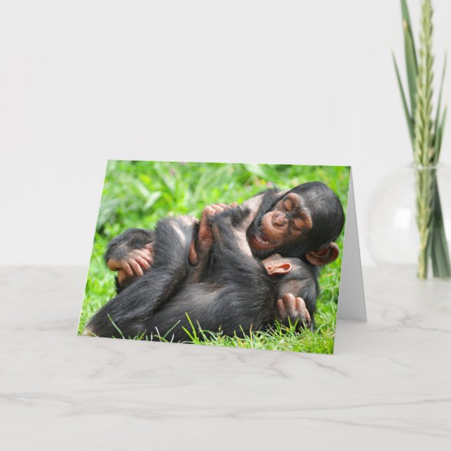 Cutest Baby Animals | Two Young Chimpanzees Card (Front)