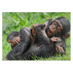Cutest Baby Animals Two Young Chimpanzees Cutting Board
