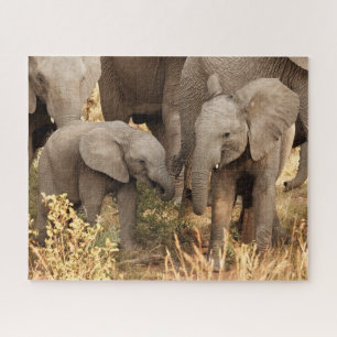 Cutest Baby Animals   Two Young Elephants Jigsaw Puzzle