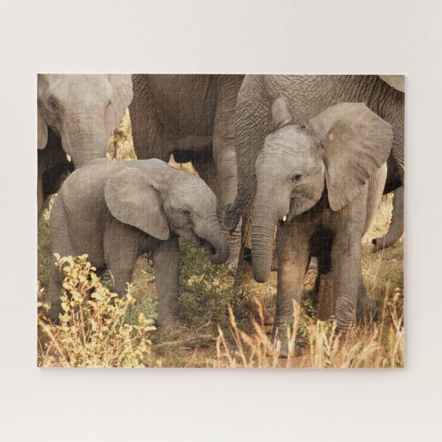 Cutest Baby Animals | Two Young Elephants Jigsaw Puzzle (Horizontal)