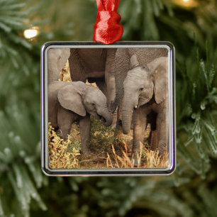 Cutest Baby Animals Two Young Elephants Metal Ornament