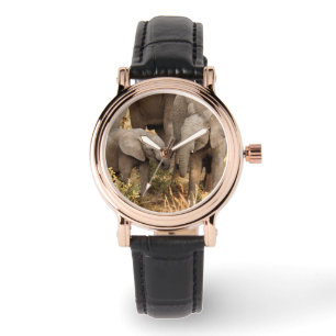 Cutest Baby Animals   Two Young Elephants Watch